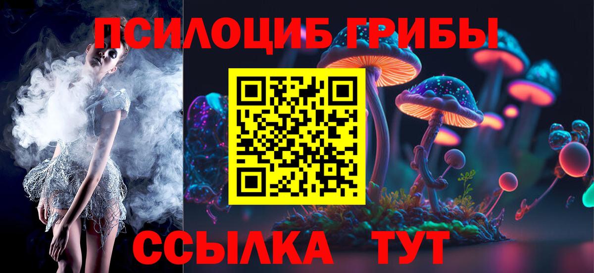 Сорочинск  Псилоцибиновые грибы Psilocybine cubensis  Вход с VPN 